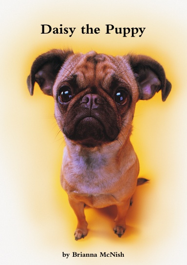 Daisy the Puppy