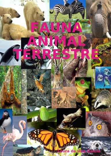 Fauna animal terrestre