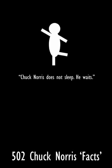 502 Chuck Norris 'Facts'