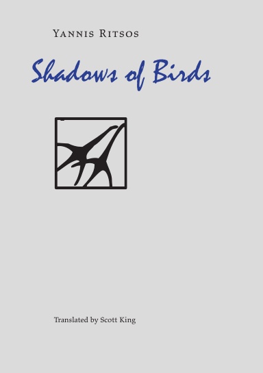Shadows of Birds