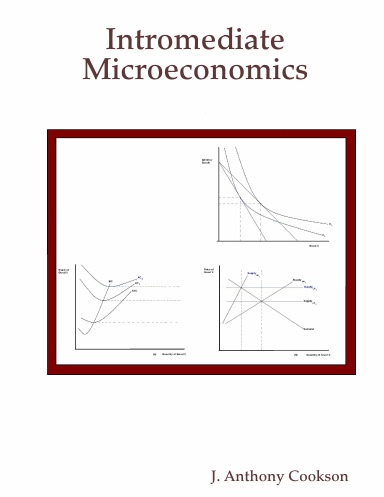Intromediate Microeconomics