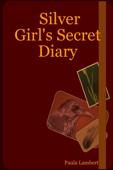Silver Girl's Secret Diary