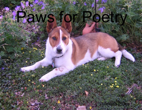 Paws for Poetry
