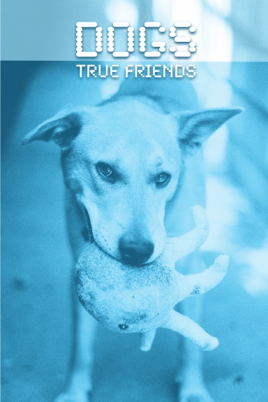 Dogs: True Friends
