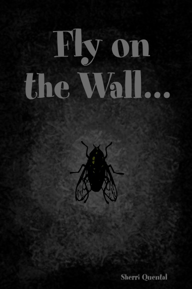 Fly on the Wall...