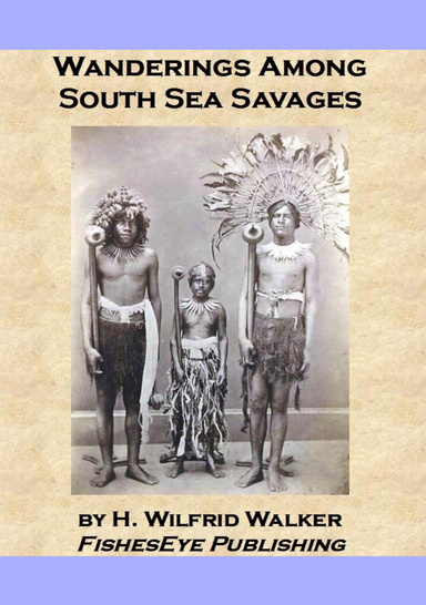 Wanderings Among South Sea Savages