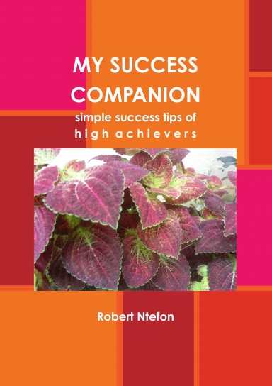 My Success Companion