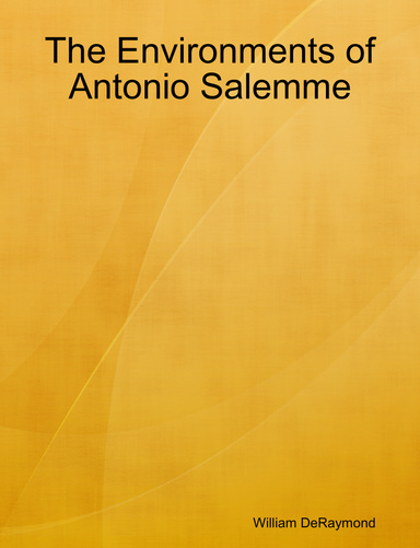The Environments of Antonio Salemme
