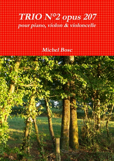 TRIO N°2 opus 207