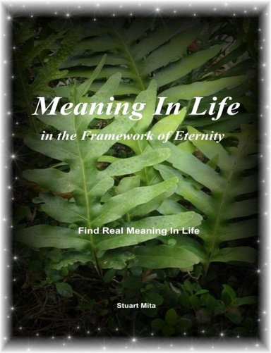 Meaning In Life in the Framework of Eternity (PDF format)