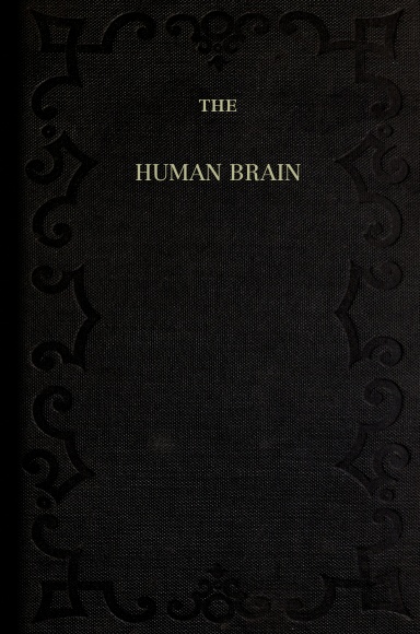 The Human Brain