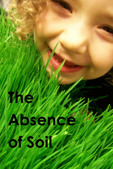 The Absence of Soil