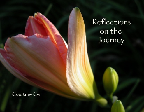 Reflections on the Journey