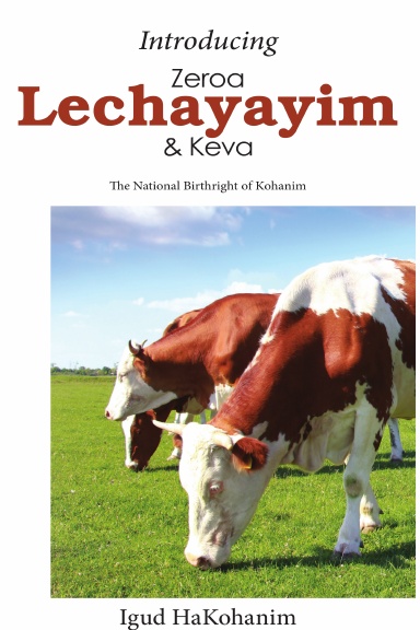 Introducing Zeroa, Lechayayim and Keva (Paperback)