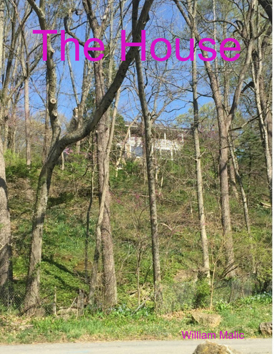 The House