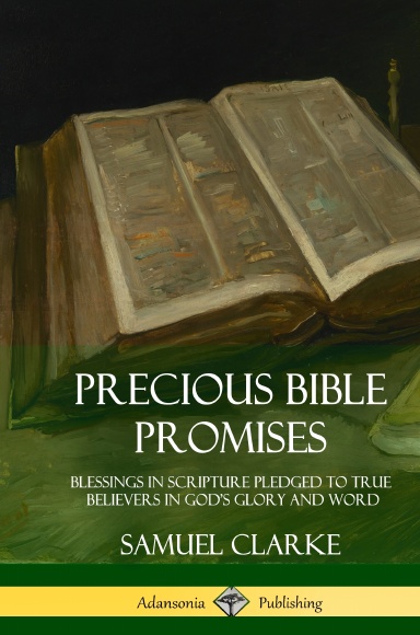 Precious Bible Promises: Blessings in Scripture Pledged to True Believers in God’s Glory and Word (Hardcover)
