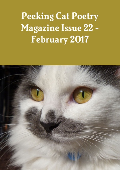 Peeking Cat Poetry Magazine Issue 22 - February 2017