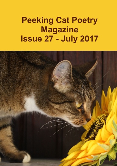Peeking Cat Poetry Magazine Issue 27 - July 2017