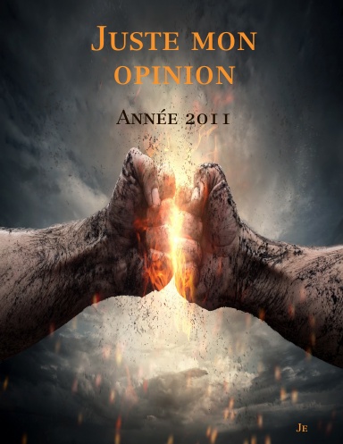 Juste mon opinion 2011