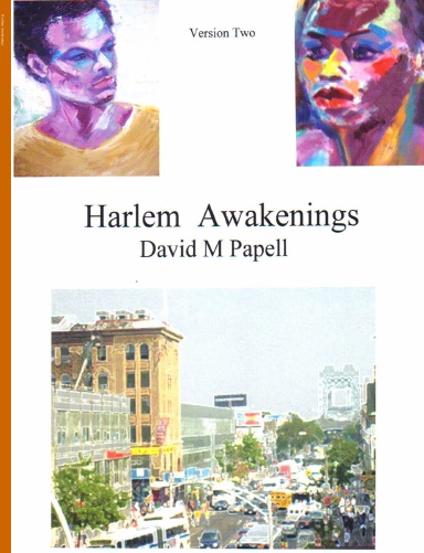 Harlem Awakenings Version Two