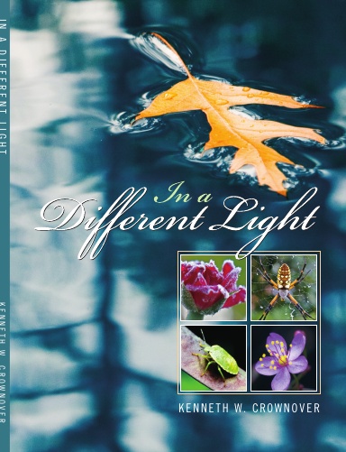 In a Different Light