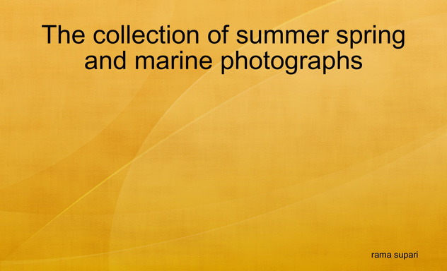 The Photographs