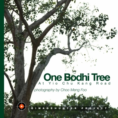 One Bodhi Tree – At Yio Chu Kang Road