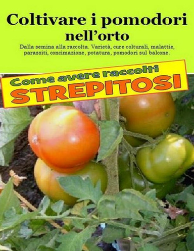 Coltivare i pomodori nell'orto