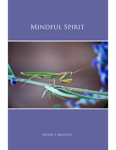 Mindful Spirit