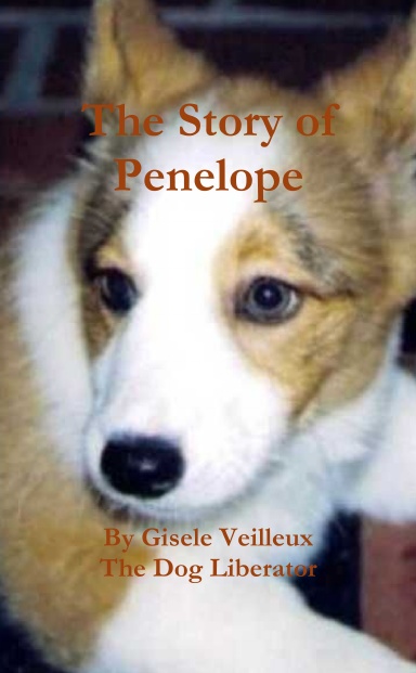 The Story of Penelope
