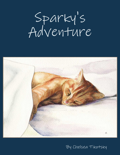 Sparky's Adventure