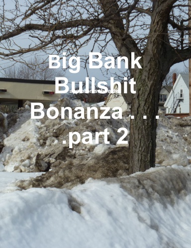 Big Bank Bullshit Bonanza . . . .part 2