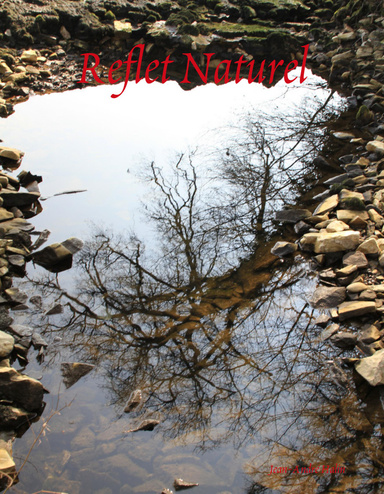 Reflet Naturel