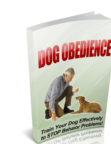 Dog Obedience
