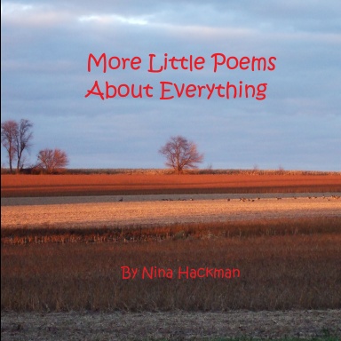 More Little Poems About Everything