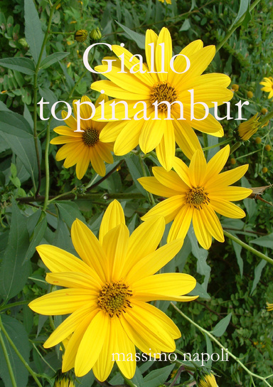 Giallo topinambur