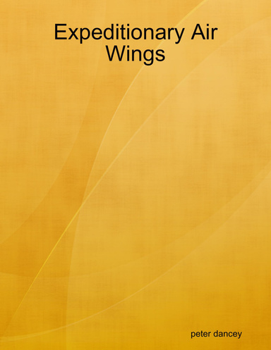 Expeditionary Air Wings