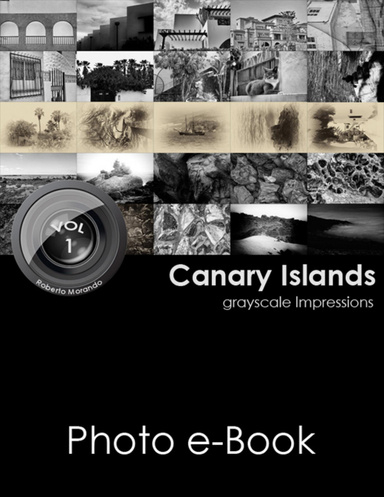 Canary Islands - grayscale Impressions