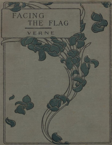 Facing the Flag