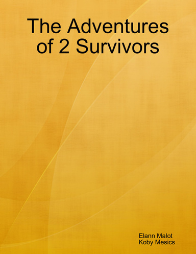 The Adventures of 2 Survivors