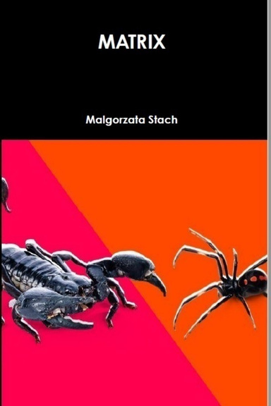 Matrix