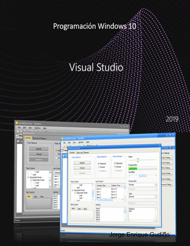 Programación Windows WPF VB 2019