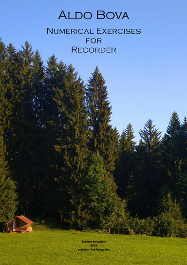 Numerical Exercises for Recorder