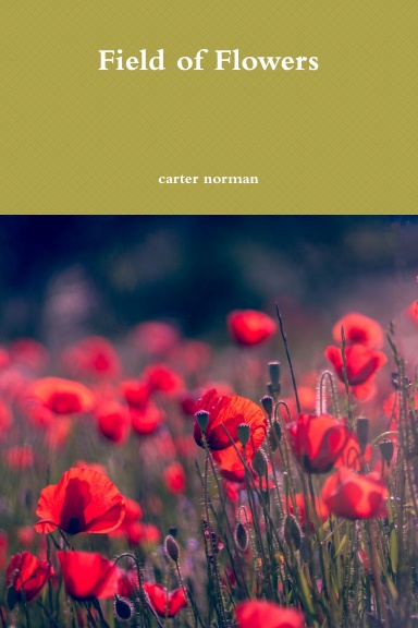 Field of Flowers