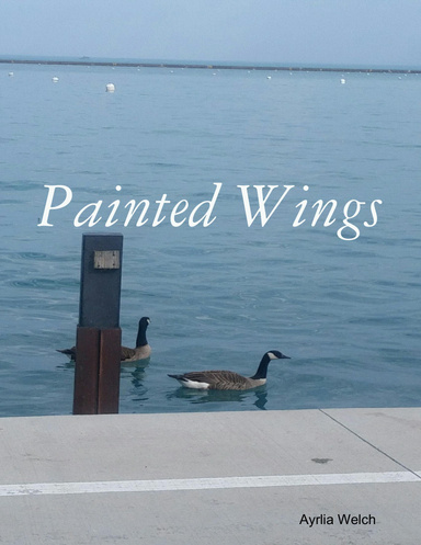 Painted Wings