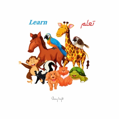 Learn  تعلم