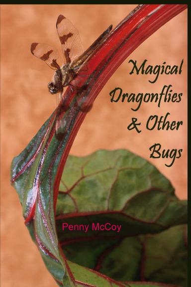 Magical Dragonflies & Other Bugs