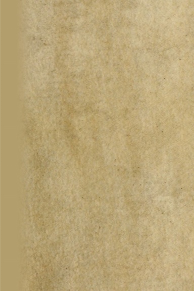 Le Magicien (II)