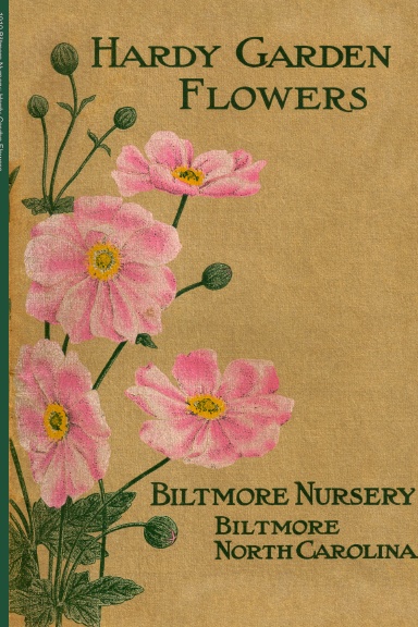 1910 Biltmore Nursery: Hardy Garden Flowers