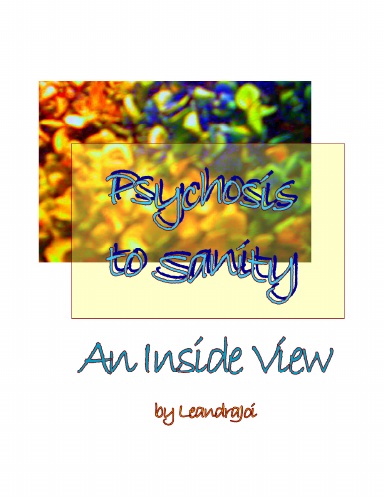 Psychosis to Sanity: An Inside View